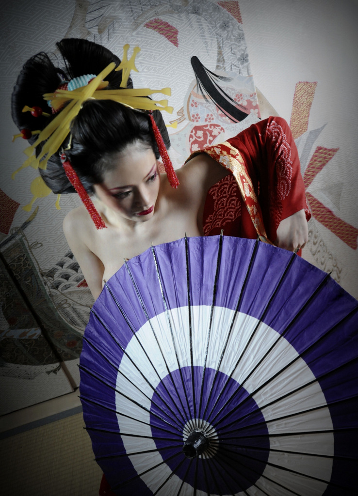 Traditional arts Geisya in Kyoto