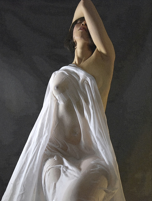 ヴェールの下の裸婦写真