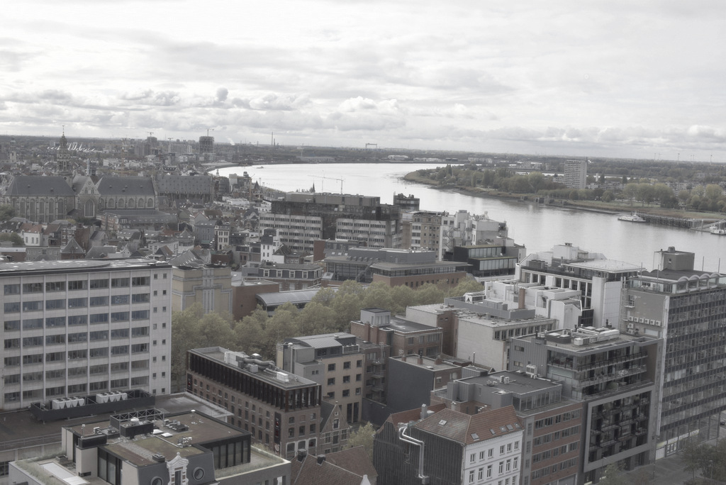 画像に alt 属性が指定されていません。ファイル名: dsc2508.jpg