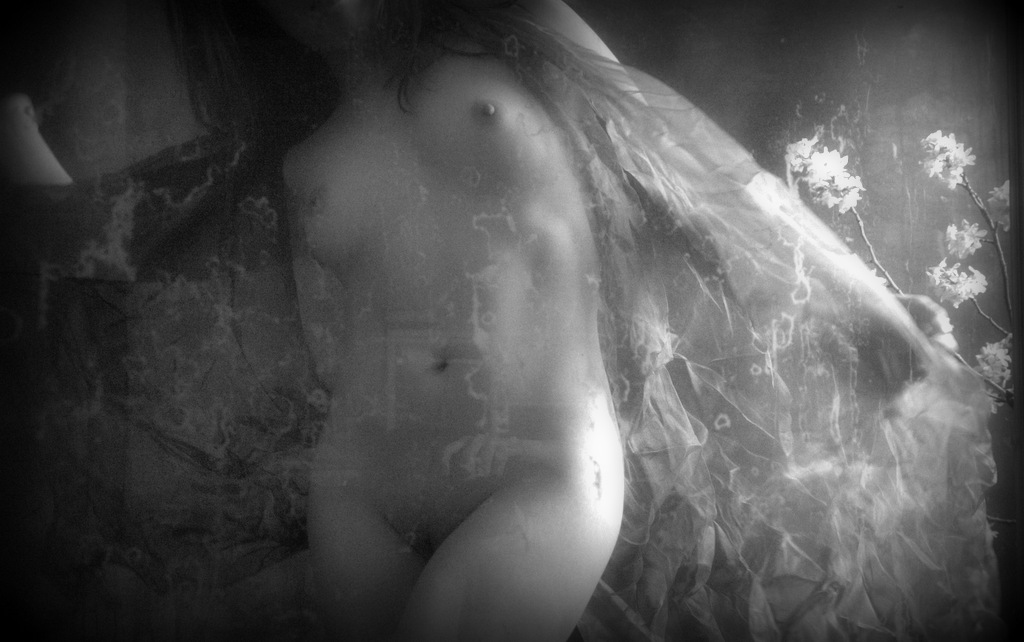 ヴェールの下の裸婦写真